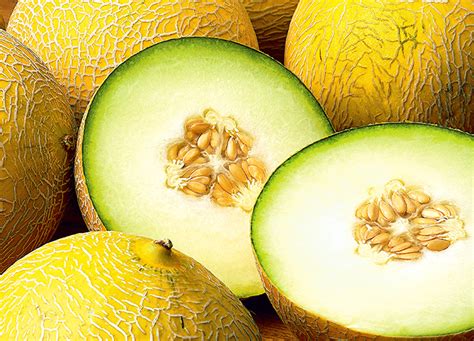 50+ Different Types of Melons (Melon Kinds, Names, & Facts)